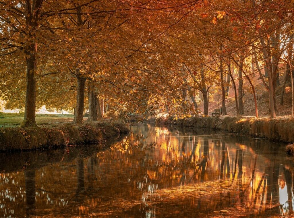 punto en cruz para bebes niña