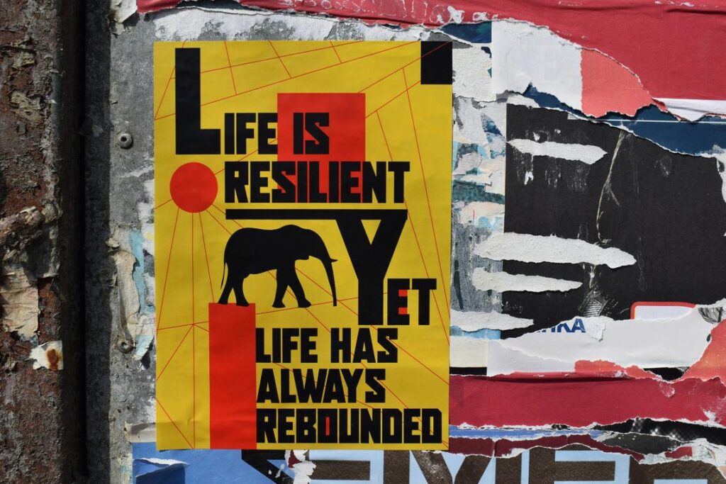 Resilient Redundancy