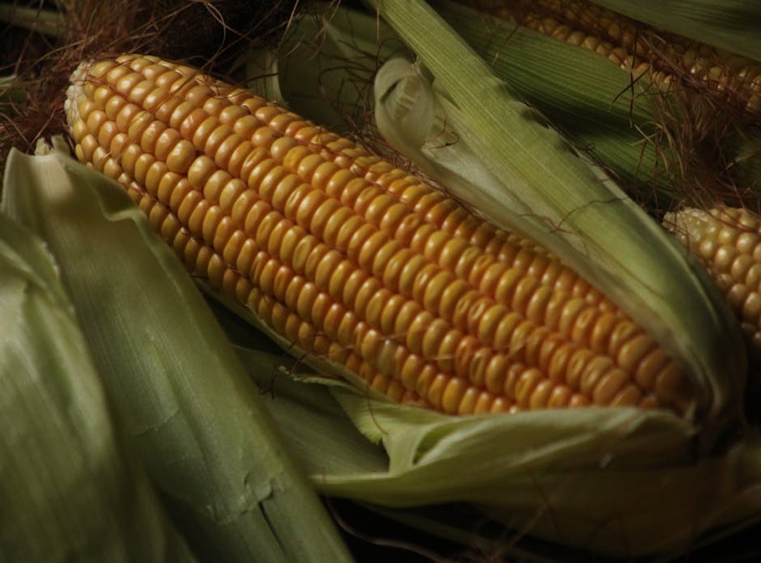 Technology Tips Pblinuxgaming